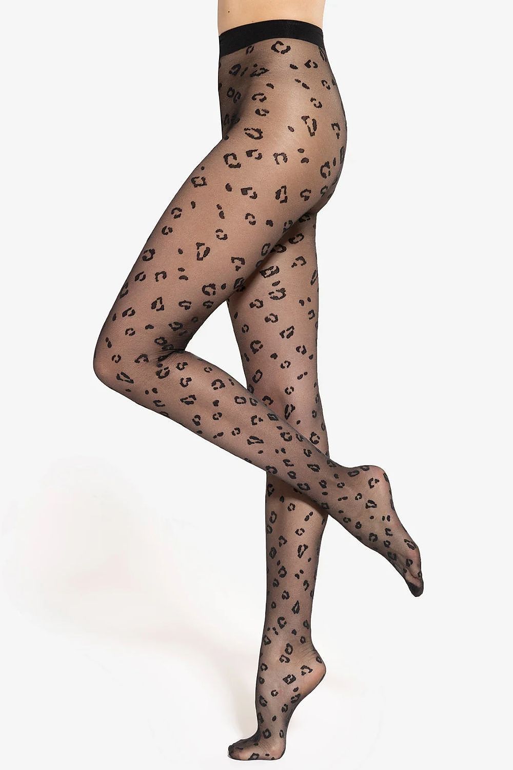  Collant modello 220109 Gatta 